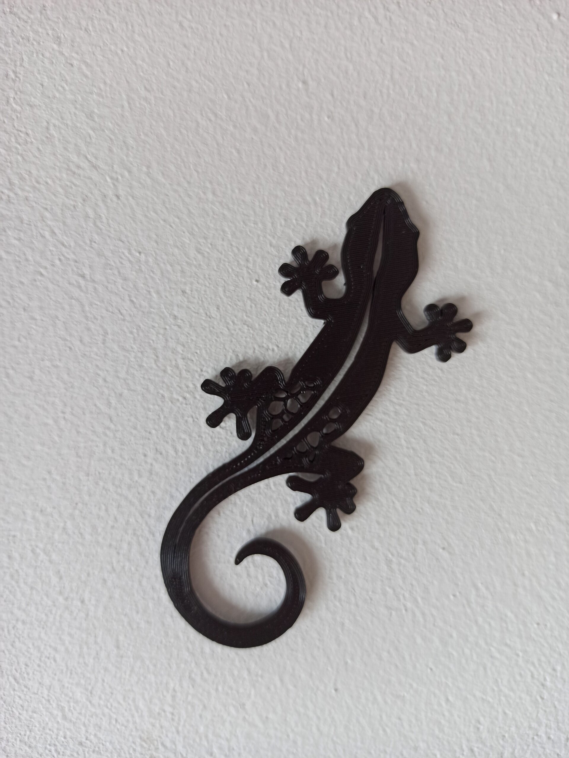Salamandra - 2